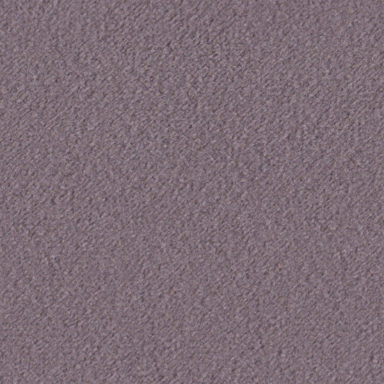 Lavender 71