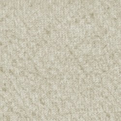 SG06