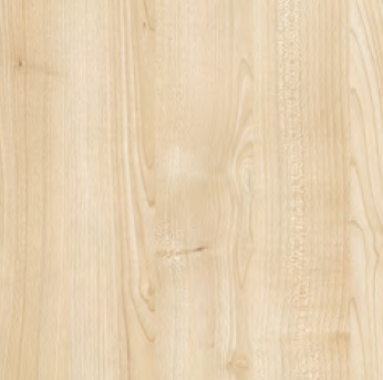 Klon Europejski STD11