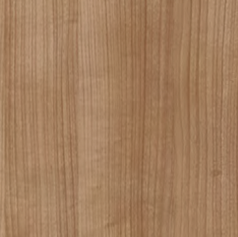 Czereśnia Havana STD16